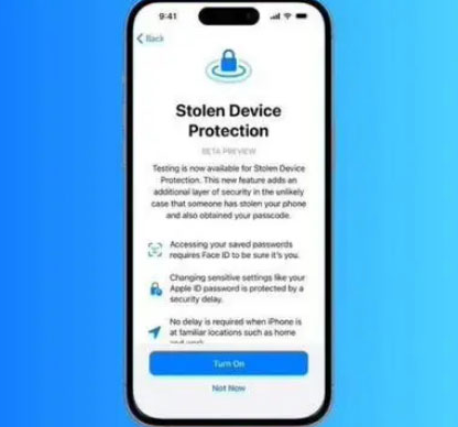 连平苹果授权维修店分享被盗设备保护功能开启方法 