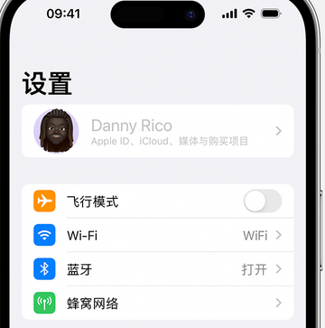 连平appleID维修服务iPhone设置中Apple ID显示为灰色无法使用 