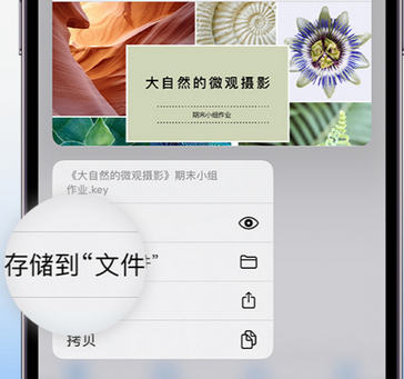 连平apple维修中心分享iPhone文件应用中存储和找到下载文件