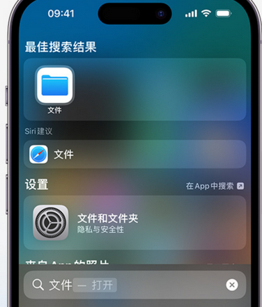 连平apple维修中心分享iPhone文件应用中存储和找到下载文件