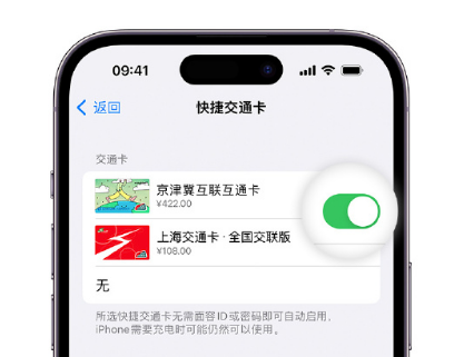 连平apple维修点分享iPhone上更换Apple Pay快捷交通卡手绘卡面 