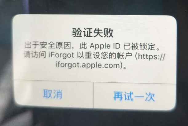 连平iPhone维修分享iPhone上正常登录或使用AppleID怎么办 