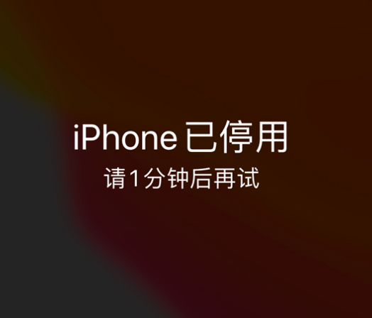 连平苹果手机维修分享:iPhone 显示“不可用”或“已停用”怎么办？还能保留数据吗？ 