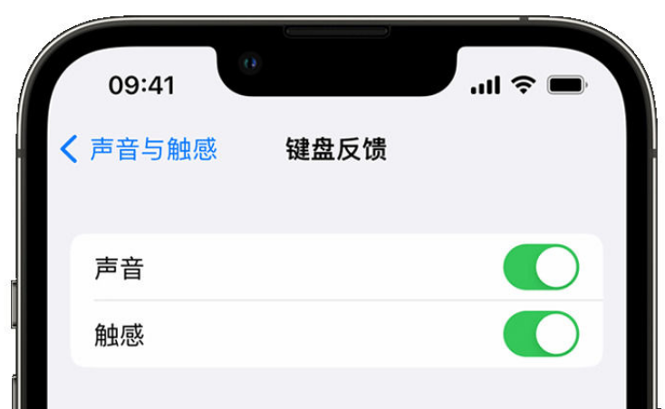 连平苹果手机维修分享iPhone 14触感键盘使用方法 