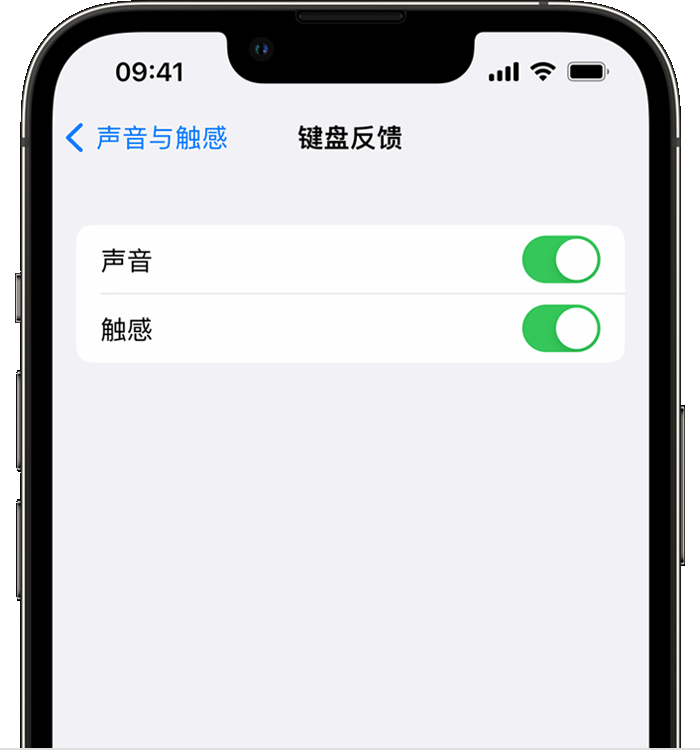 连平苹果14维修店分享如何在 iPhone 14 机型中使用触感键盘 