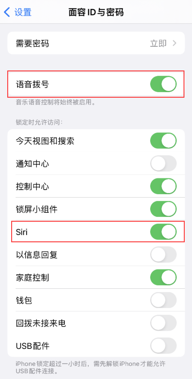 连平苹果维修网点分享不解锁 iPhone 的情况下通过 Siri 拨打电话的方法 