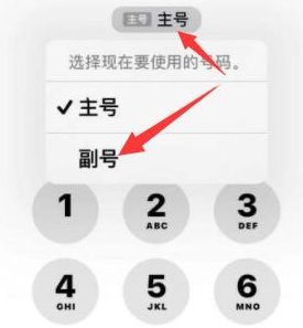 连平苹果14维修店分享iPhone 14 Pro Max使用副卡打电话的方法 