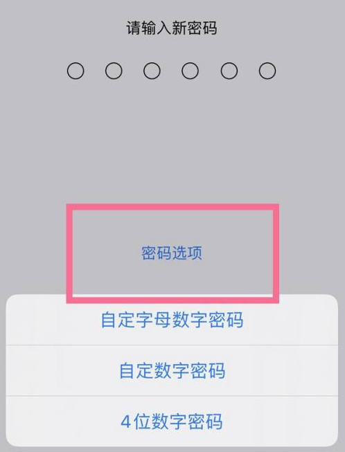 连平苹果14维修分享iPhone 14plus设置密码的方法 