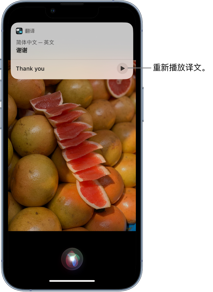 连平苹果14维修分享 iPhone 14 机型中使用 Siri：了解 Siri 能帮你做什么 