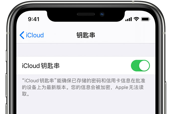 连平苹果手机维修分享在 iPhone 上开启 iCloud 钥匙串之后会储存哪些信息 