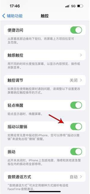 连平苹果手机维修分享iPhone手机如何设置摇一摇删除文字 