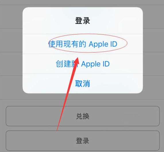 连平苹果手机维修分享两台iPhone设备可以同时登录一个Apple ID吗 
