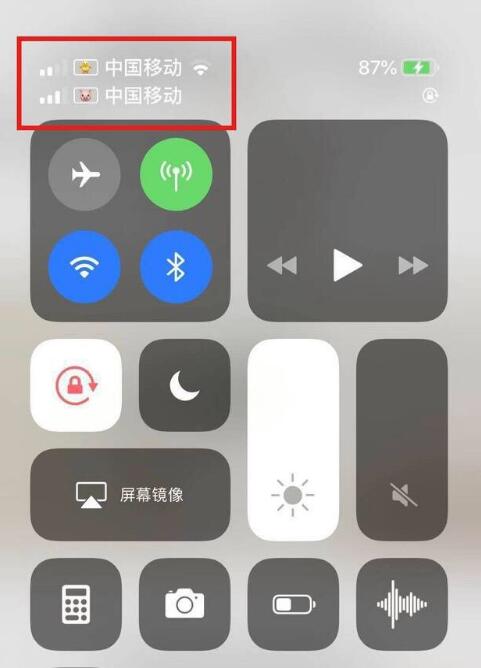 连平苹果手机维修分享为 iPhone 12 双卡设置标签 
