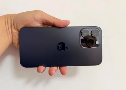 连平苹果维修点分享iPhone 14 Pro Max黑屏少见故障盘点 